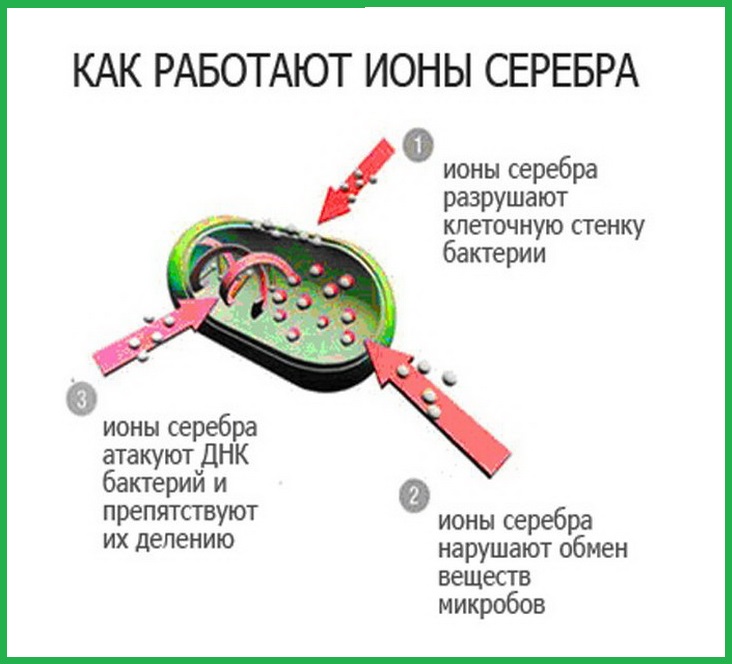 Наночастицы серебра