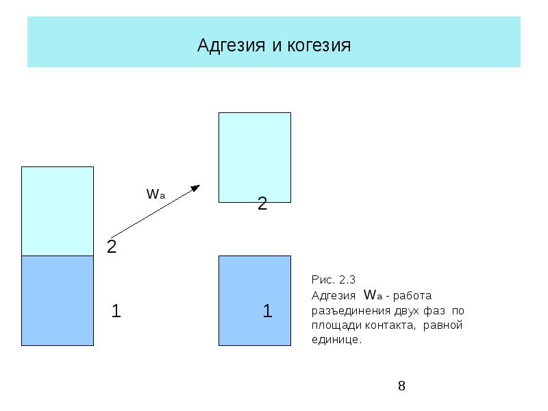 Примеры когезии 3