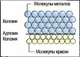 Примеры когезии 2