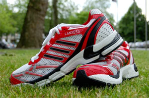 В ЧМ – 2014 участвуют пигменты LANXESS