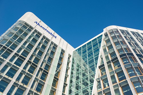 Akzo Nobel приобретает контроль над египетским активом