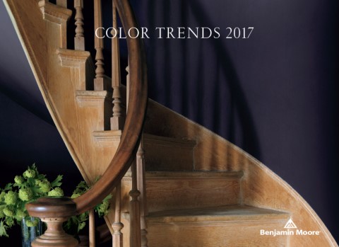Benjamin Moore показывает «Тень», как их цвет 2017 года