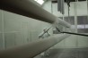 AkzoNobel рассматривает сегмент BASF Coatings