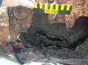 Бюллетень по изоляционным покрытиям