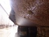 Chugoku добавляет Selektope к необрастающей краске