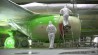 Самолеты в России красят согласно европейским стандартам EASA