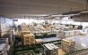 Лакокрасочный завод в Ленинградской области удовлетворит спрос 95% покупателей из России