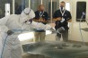 BASF выпустит специалистов по окраске